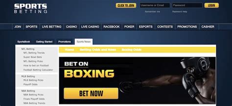 Boxing Picks .